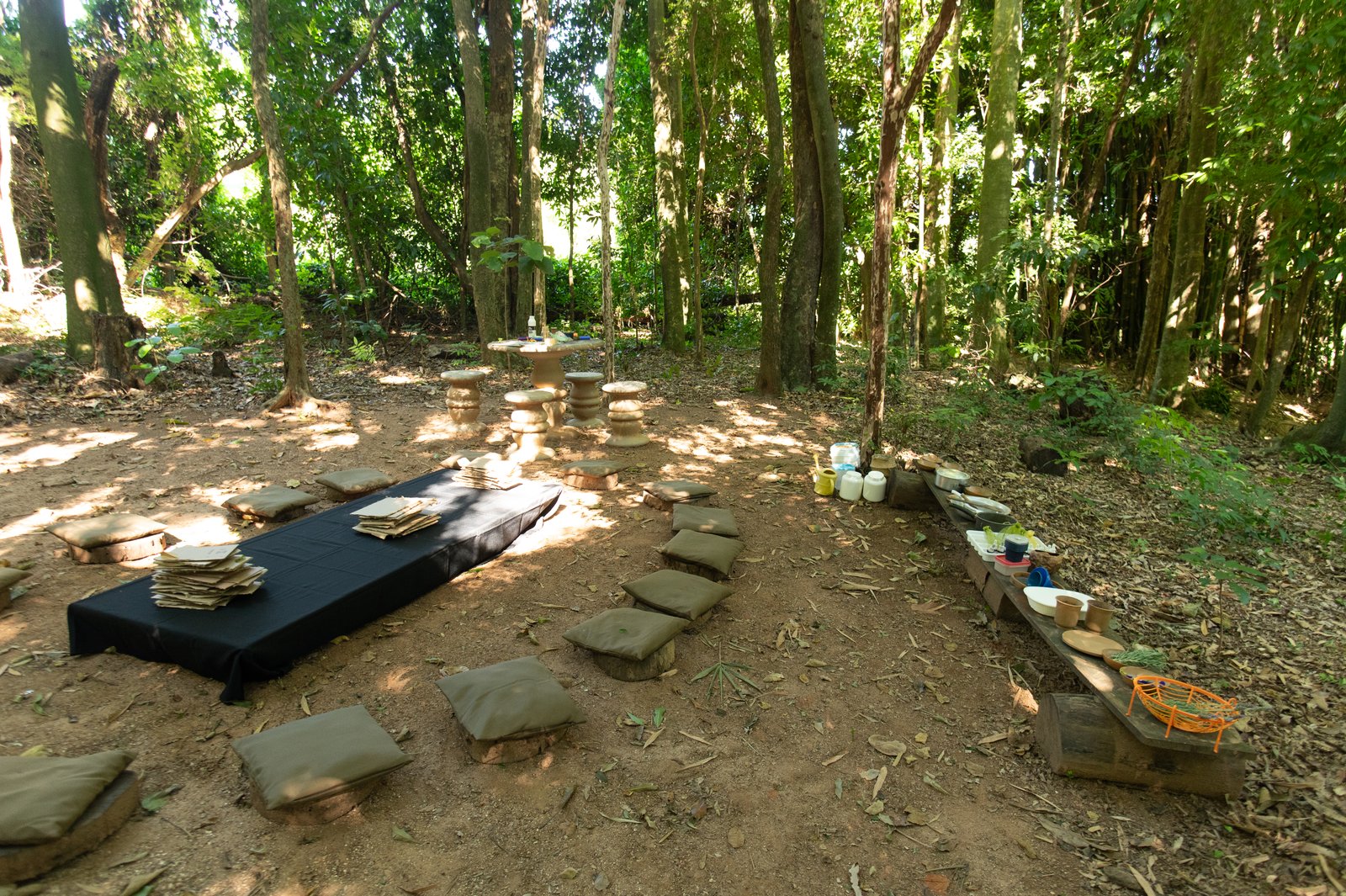Área de mata nativa para cerimônias ao ar livre