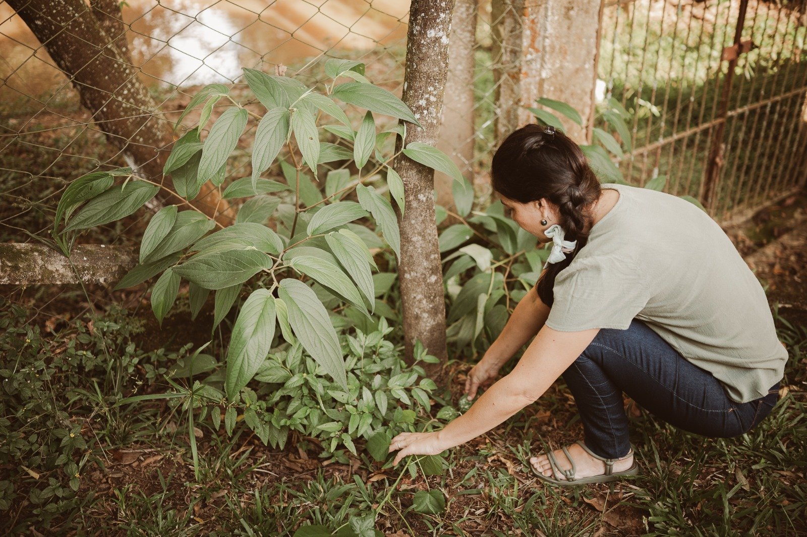 Mãos segurando uma muda de planta